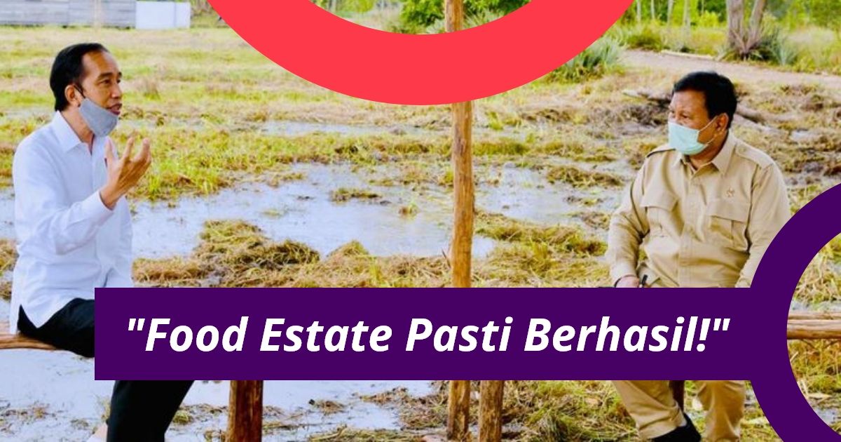 Benarkah Food Estate Baru Bisa Berhasil Di Tahun 2027? Ini Kata Pengamat